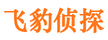 万州捉小三公司